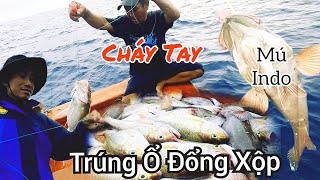CÂU TAY 2 || Trúng Ổ Cá Đổng Xộp, Thả Câu Xuống AE Kéo Nhừ Người.