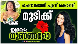 ചെമ്പരത്തി പൂവ് കൊണ്ട് മുടിക്ക് ഇത്രയും ഗുണങ്ങളോ | SimpleTips Malayalam