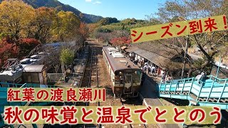 【シーズン到来】秋の味覚を列車の中で！温泉サウナでととのう旅（前編）　#わたらせ渓谷鐵道 #紅葉 #渡良瀬川