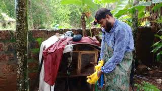 അതി സാഹസികമായി കണ്ടു നിന്ന നാട്ടുകാർക്ക് 🙏നന്ദി