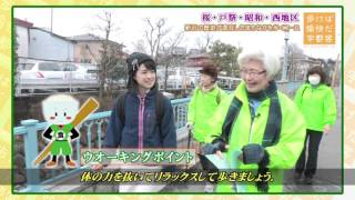 【宇都宮市】地元を歩こう　お気軽ウオーキング（桜・戸祭・昭和・西地区）