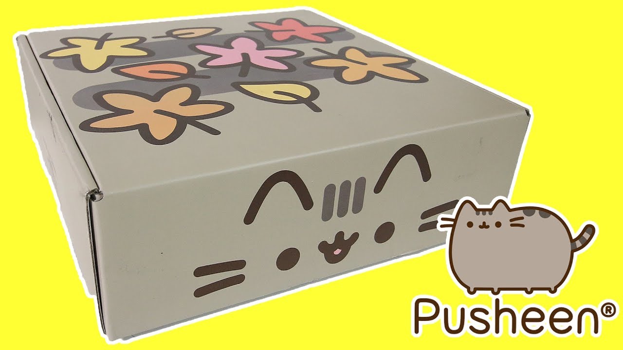 Pusheen Box Unboxing Youtube