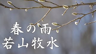 春の雨　若山牧水　朗読