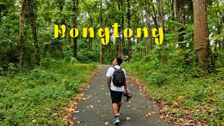 Rongtong - the picturesque destination near siliguri  || Short Cinematic Video ||