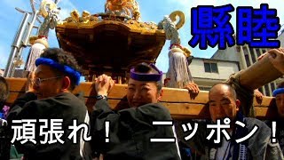 30年  横浜開港祭 神輿コラボ ◆ 縣睦 ◆ 神輿おもてなし渡御　迫力満点。