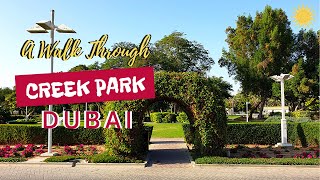 Creek park | Barbeque | Dubai Dolphinarium | Children's City| Dubai