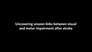 Cristina Rubino: Visual and motor impairment after stroke | UBC's PhDs Go Public Series