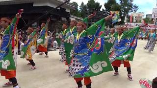 2019 第66回 高知よさこい祭り[大賞] //  とらっくよさこい（ちふれ）