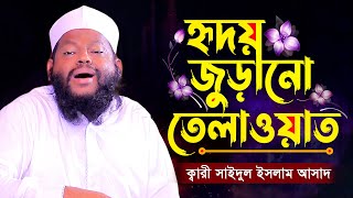 আন্তর্জাতিক ক্বারীর হৃদয় জুড়ানো তেলাওয়াতে মনকে শীতল করে দেয়  Saidul Islam Asad Tilawat 2024