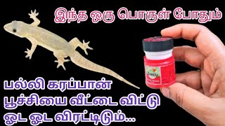 பல்லி,குட்டி கரப்பான் பூச்சி தொல்லையா ?Cockroaches kills tips\u0026Tricks in Tamil/insects Kills/tips