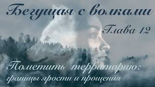 Глава 12. Пометить территорию: границы ярости и прощения. || Бегущая с волками ||