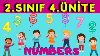 2. Sınıf İngilizce 4. Ünite Konu Anlatımı