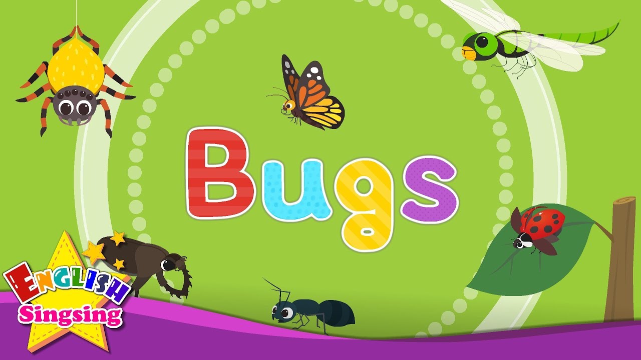 Insects And Bugs For Kids