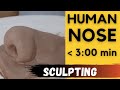 How to Sculpt a Human Nose With Clay  - Short Version | Techniques for Sculpting in Clay