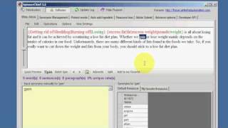 SpinnerChief Basic Article Spinning 1