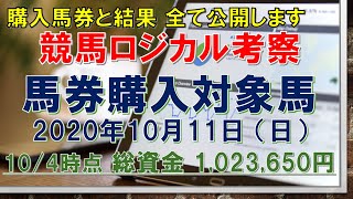 【競馬ロジカル考察】ｰ馬券購入対象馬ｰ 2020年10月11日（日）購入馬券と結果 全て見せます（血統、指数、考察、予想）