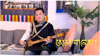 amdo song dranyen cover@tibetan song@tibetan latest song@