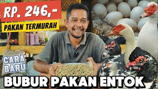 PAKAN 246 RUPIAH BERTELUR 50% LEBIH ❗RESEP NENEK MOYANG YANG JARANG ORANG TAU