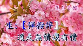 櫻花三月又紅時  陳文亭 蘇荃   撰曲 林川