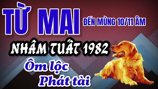 Tử Vi Từ Mai Đến Mùng 10/11 Âm. Nhâm Tuất 1982 Phất Lên Như Diều Gặp Gió, Lộc Bề Trên Đổ Về Ồ Ạt!