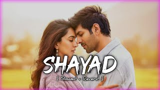 Shayad - Love Aaj Kal [ Slowed + Reverd ] Arijit Singh | Mk Lofi Lyrics | Text Audio | #lofi