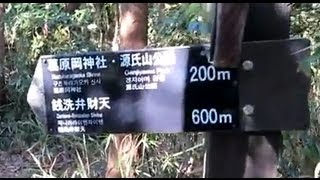 【鎌倉の遺構】瓜ヶ谷やぐら群への道　葛原ヶ岡ハイキングコースから