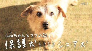 【vol.2】保護犬ときどきシニア犬movie ／11才ノーフォーク・テリアのCocoちゃんとママの話