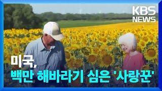 미국, 백만 송이 해바라기 심은 ‘사랑꾼’ / KBS  2023.08.07.