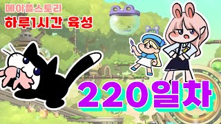 하루 1시간 육성 220일차 [메이플스토리 무자본 육성]