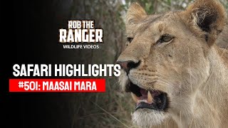 Safari Highlights #501: 01st October 2018 | Maasai Mara/Zebra Plains | Latest #Wildlife Sightings