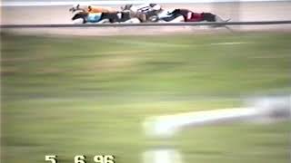 Fearsome Misty (Penny Black)   Tp2 Chesterfield 700yds open   5th June 1996