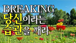 BREAKING 당신이라는 습관을 깨라 (조 디스펜자 지음. 편기욱 옮김. 샨티 펴냄)