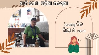 Sunday ରେ ରିୟା ର କେଉଁ exam ଅଛି?ଲୋକଙ୍କ question ର answer  ଆଜି ଓଡ଼ିଆ ଜଳଖିଆ ସାଙ୍ଗରେ ଆମିଷ ନା ରେ 🥚🥚