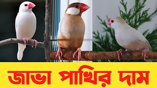 জাভা পাখির দাম কত : Java bird price in Bangladesh and India