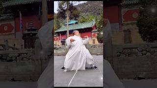 Kung fu Drunken Master  #shaolin #wingchun #kungfu #wushu #kungfulife  #功夫 #太极 #武术 #少林