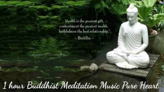 Buddhist Meditation Music Pure Heart 1 hour