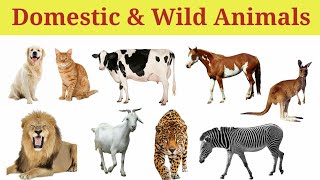 Domestic Animals Name and Wild Animals Name