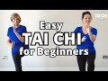 15 MINS TAI CHI - for Beginners, Seniors, New to Tai Chi