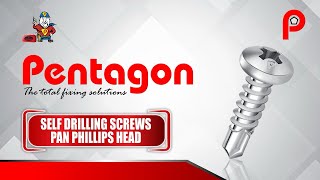 PAN PHILLIPS HEAD SELF DRILLING SCREW