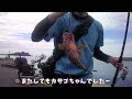 カブ釣 ツ ーリングでカサゴ釣っちゃうよ