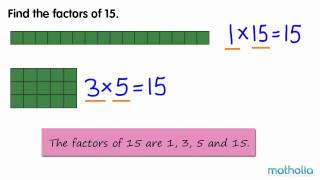 An Introduction to Factors