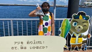 【釣り】八景島シーパラダイスでアジ釣りに挑戦！ Let’s fishing Japanese horse mackerel in Hakkeijima Sea Paradise!