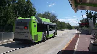 CT Transit: CCSU bound Gillig BRT HEV 1431 Rt.140 FasTrak leaving Cedar St