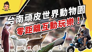 台南頑皮世界野生動物園！親子互動學習好地方｜零距離互動｜動物好好玩～