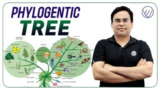 Phylogenetic Tree | Cladogram | Dendrogram | Life Tree For Csir NET Life science | Evolution Lecture
