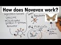 Novavax | How does Novavax work?