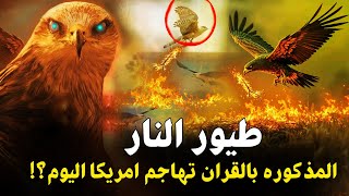 حرائق لوس انجلوس وكاليفورنيا بامريكا وظهور طيور النار ( الابابيل ) المذكورة بالقران قبل 1400عام !!