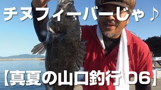 離島でチヌフィーバー♪【真夏の山口釣行06】