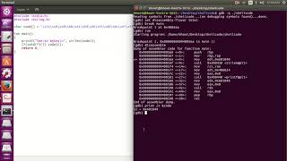 Shellcoding basics