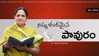 నిష్కళంకమైన పావురం..| అనుదిన వాగ్దానం | 23rd JAN 2025 #1102  #drvijayasharath